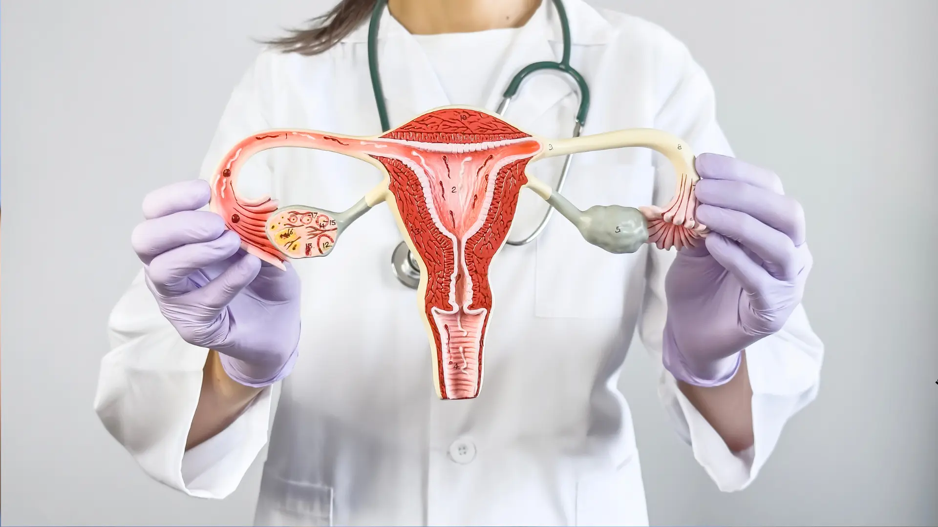 Usługa Biopsja aspiracyjna endometrium z badaniem histopatologicznym w CM Femmemedica