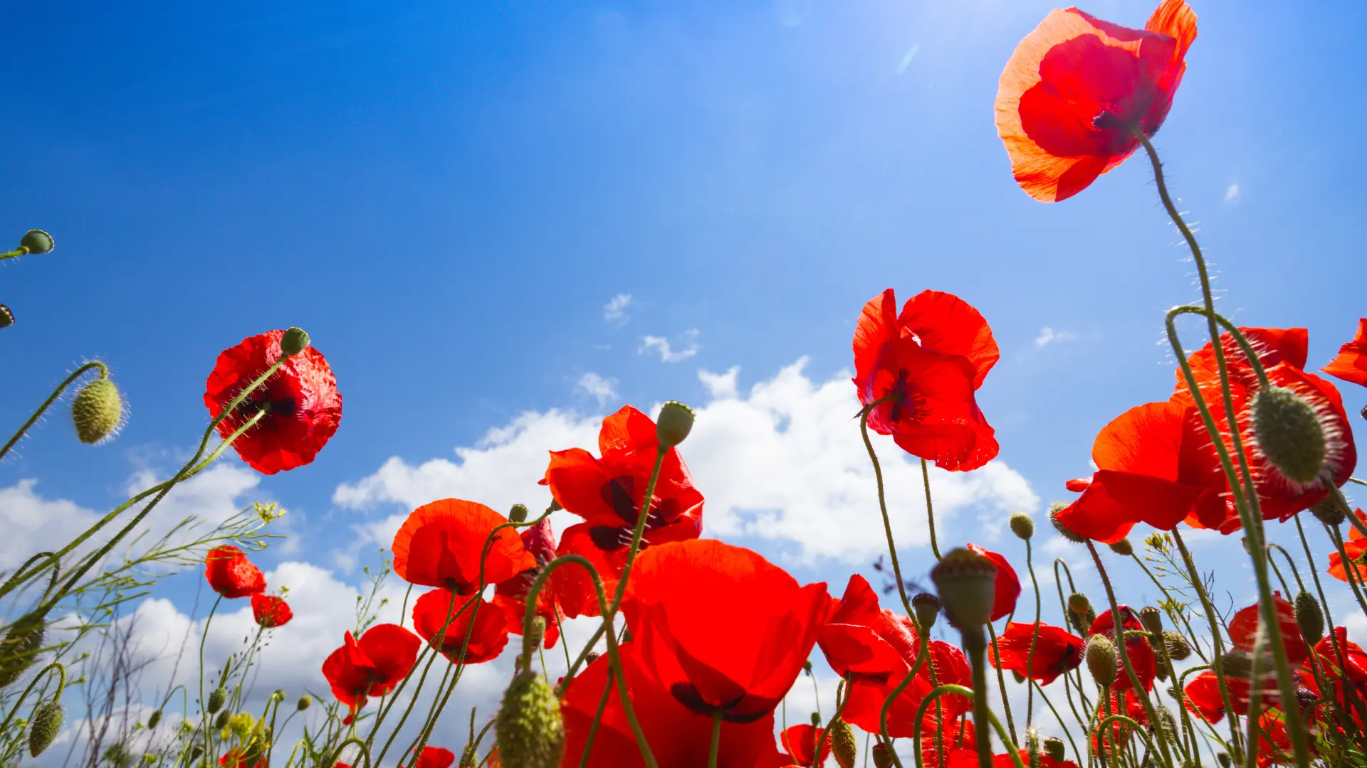 Zapraszamy do wirtualnego spaceru po naszej placówce.