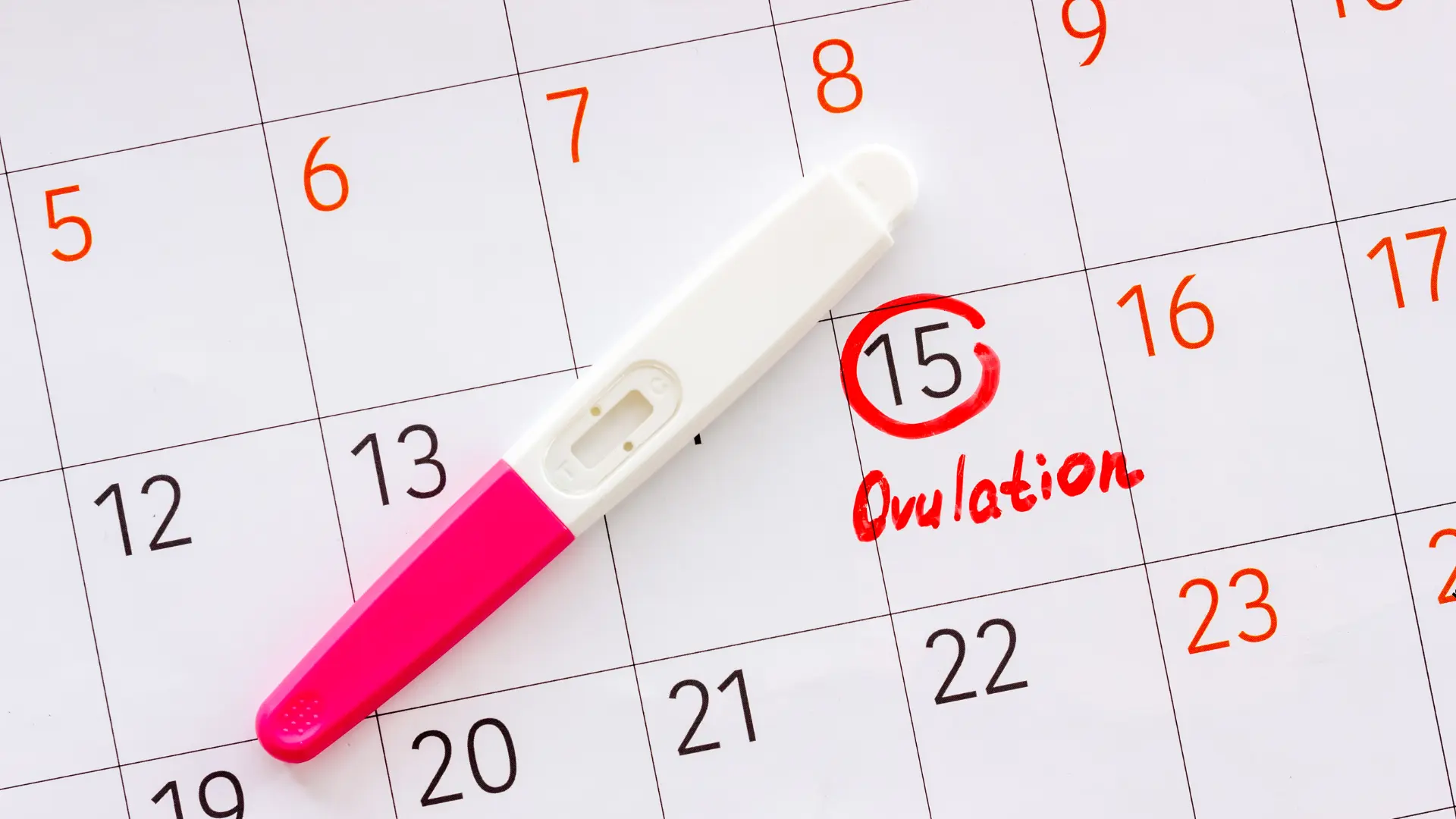 Usługa Monitorowanie owulacji USG w CM Femmemedica