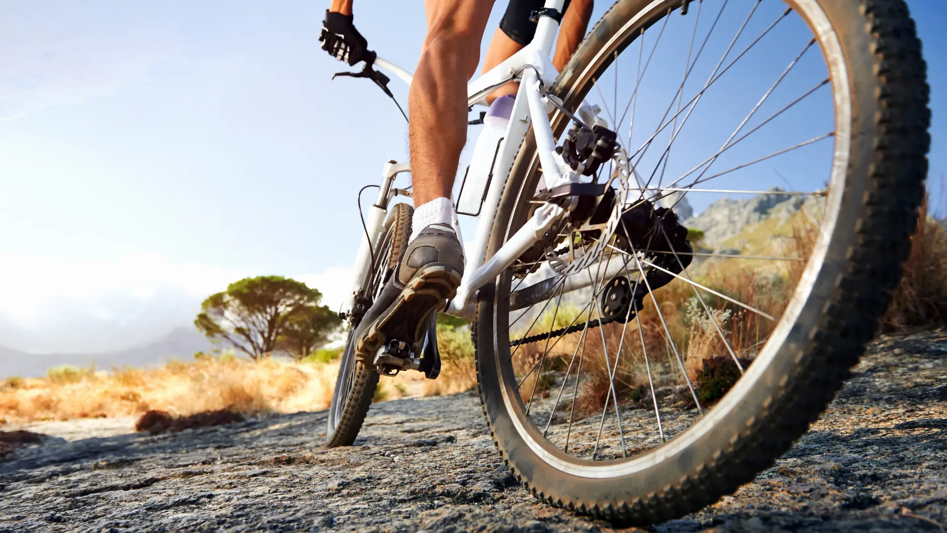 Pakiet Badań: Pakiet symferia rozszerzony